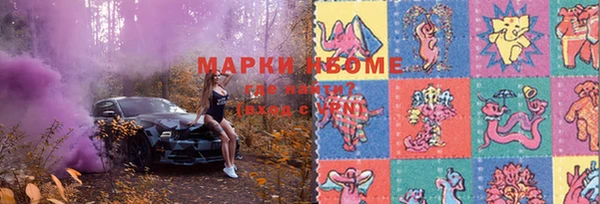 PSILOCYBIN Баксан