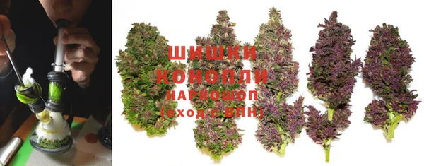 PSILOCYBIN Баксан